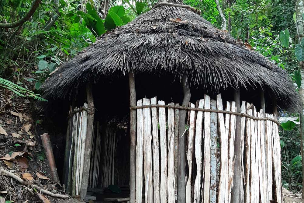 Unsere Unguma ist ein kleines Hüttchen, welches bei den ein heiliges Haus bei den Indigenen der Sierra ist. Sie wurde von einem Wiwa und unserer ersten Retreat Gruppe erbaut wurde. Unguma bedeutet 'Haus der Gedanken'. Diesen Ort könnt ihr zum meditieren und reflektieren aufsuchen. Hier halten wir zB. Auch die einzelne Konsulationen ab.